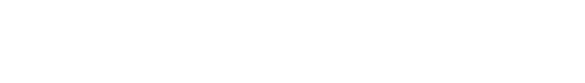 SAVVANT Solutions